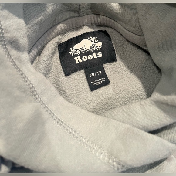 Roots sweatsuit (hoodie and sweatpants) - Picture 3 of 5
